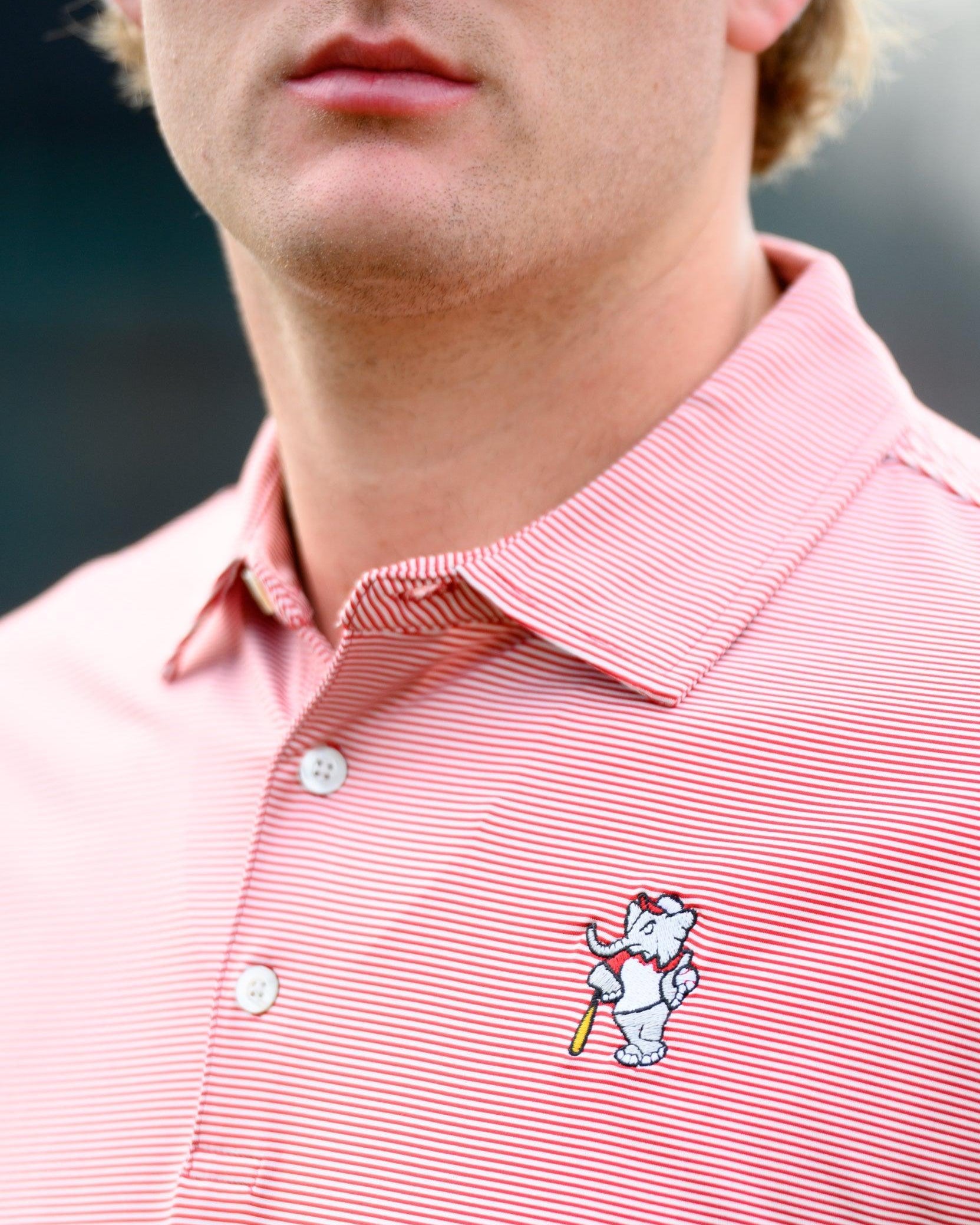 University of Alabama Men's Crimson Stripe Performance Polo with an embroidered image of Big Al in a baseball uniform leaning on a baseball bat