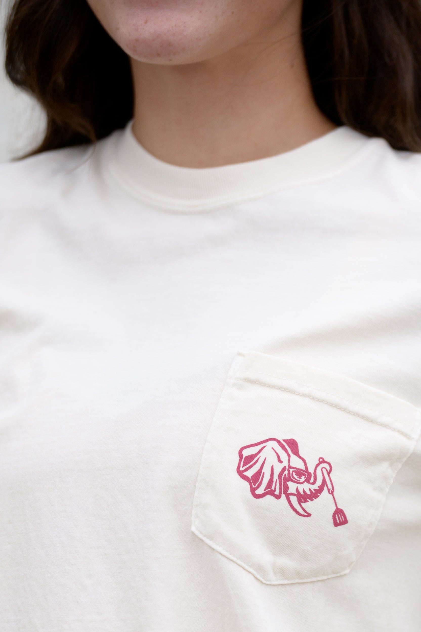 Big Al Tailgate Front Pocket