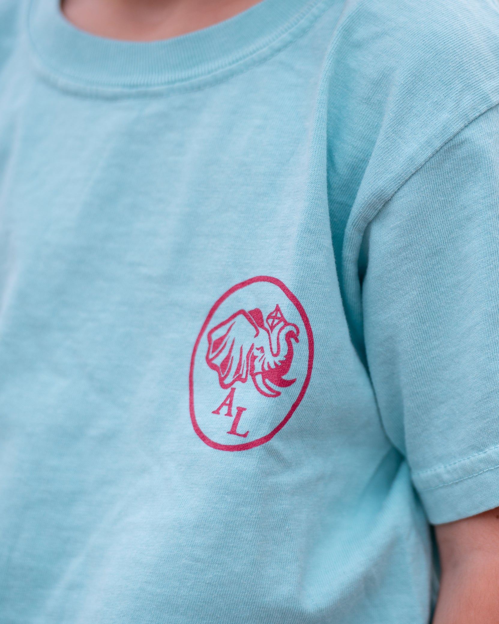 Big Al Beach Youth T-Shirt Elephant Seal Front