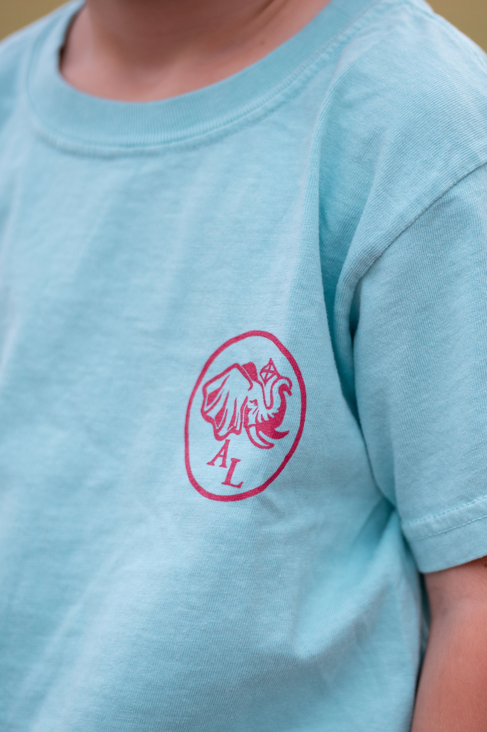 Big Al Beach Youth T-Shirt Elephant Seal Front