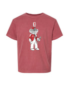 University of Alabama Big Al Drum Major Grey Gildan Youth T-Shirt with an image of Big Al wearing a Drum Major's outfit and holding the baton