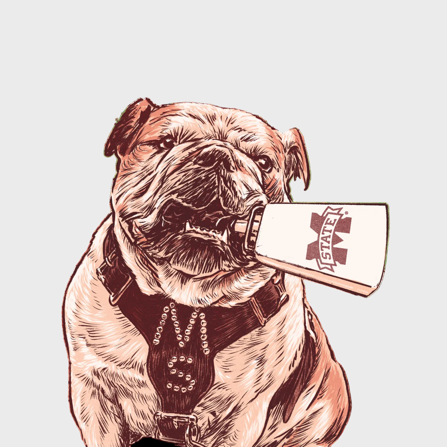 Hail State