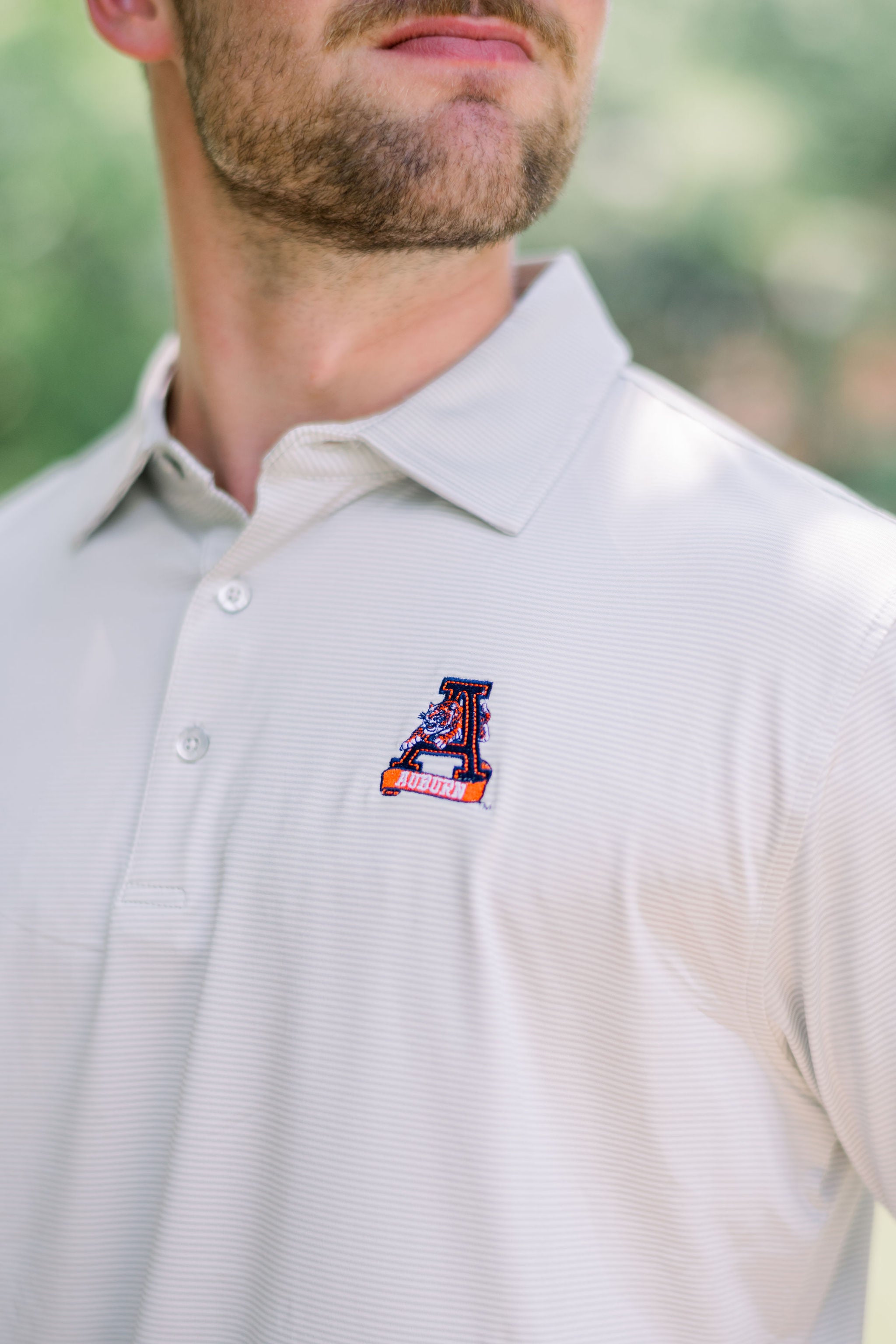 Leaping Tiger Stripe Polo