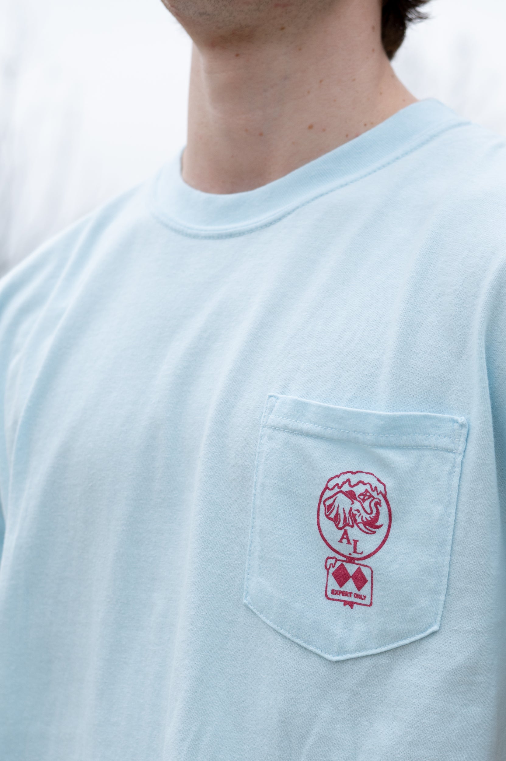 University of Alabama Light Blue T-Shirt with a snow-covered Elephant Seal on the front pocket 