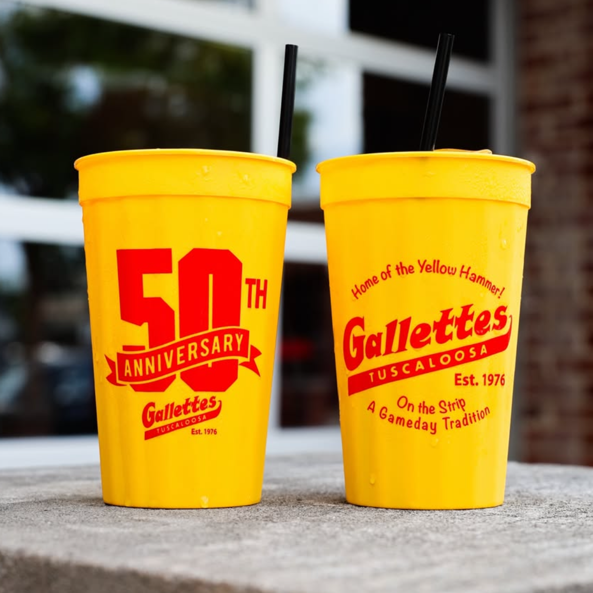 Gallettes special-edition Yellowhammer Cup with the Gallettes full logo and a bold “50th” with a banner reading “Anniversary”