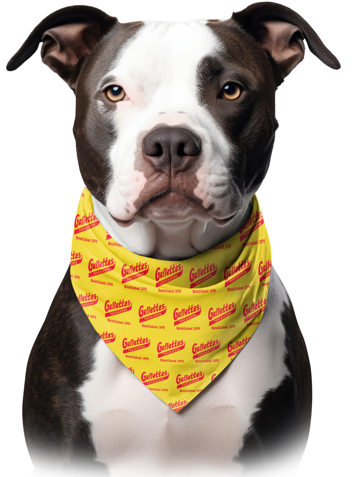 Gallettes Yellow Dog Bandana with Red Gallettes Logos