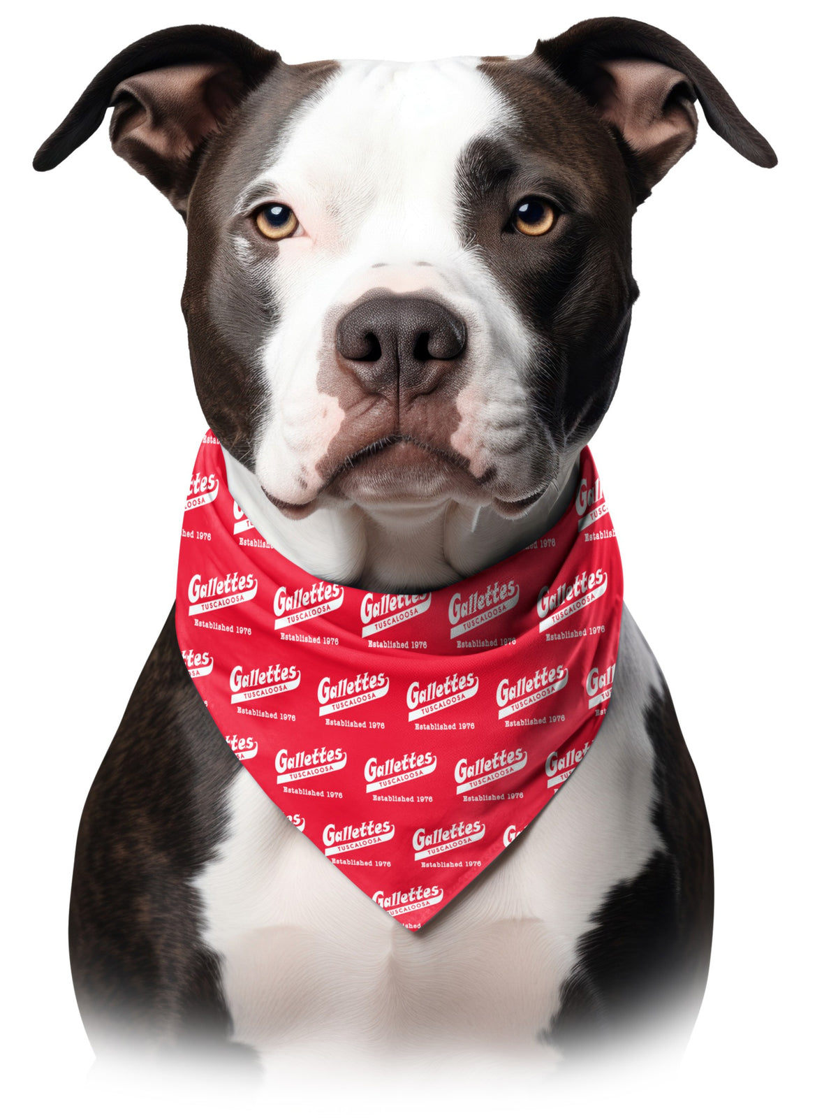 Gallettes Red Dog Bandana with White Gallettes Logos