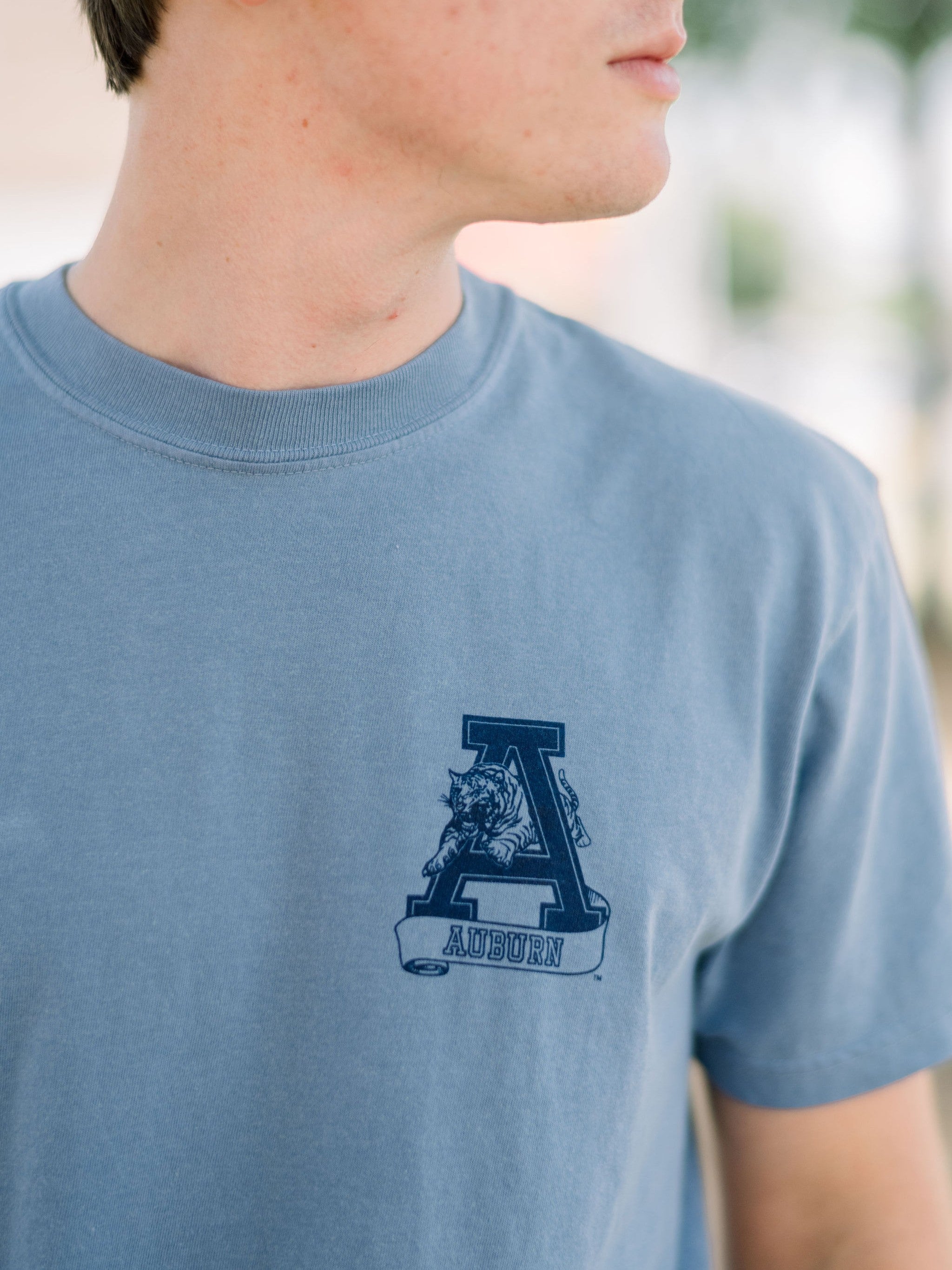 Original Aubie Welcome to the Plains
