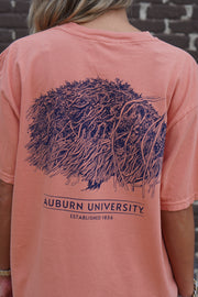 Auburn University Orange Toomer's Tree T-Shirt featuring an illustration of a toilet papered tree from Toomer's Corner